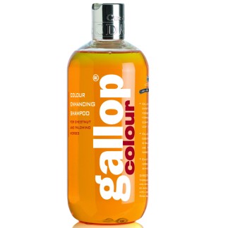 Carr & Day & Martin: Dreamcoat pour alezan – Produit de toilettage – Équitation