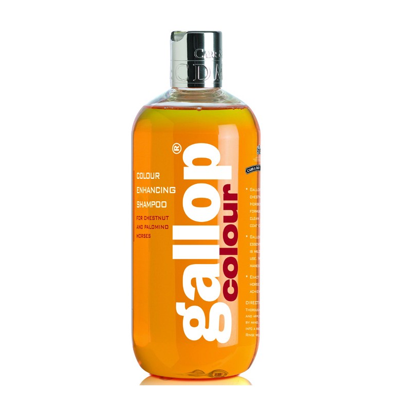 Carr & Day & Martin: Dreamcoat pour alezan