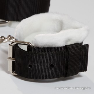 Entraves avec mouton