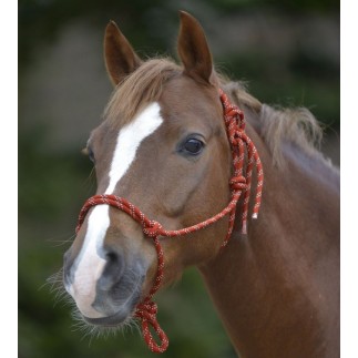 Licol à noeuds – Licols – Équitation