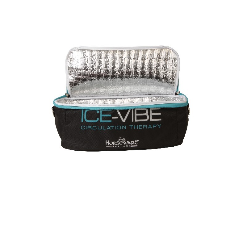 Ice Vibe: Cool Bag