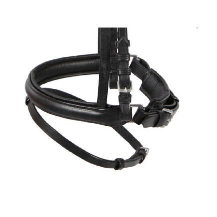 Pfiff: Bridon pull back – Full