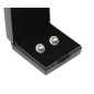 Boucles d'oreilles: Swarovski Crystal- Platin