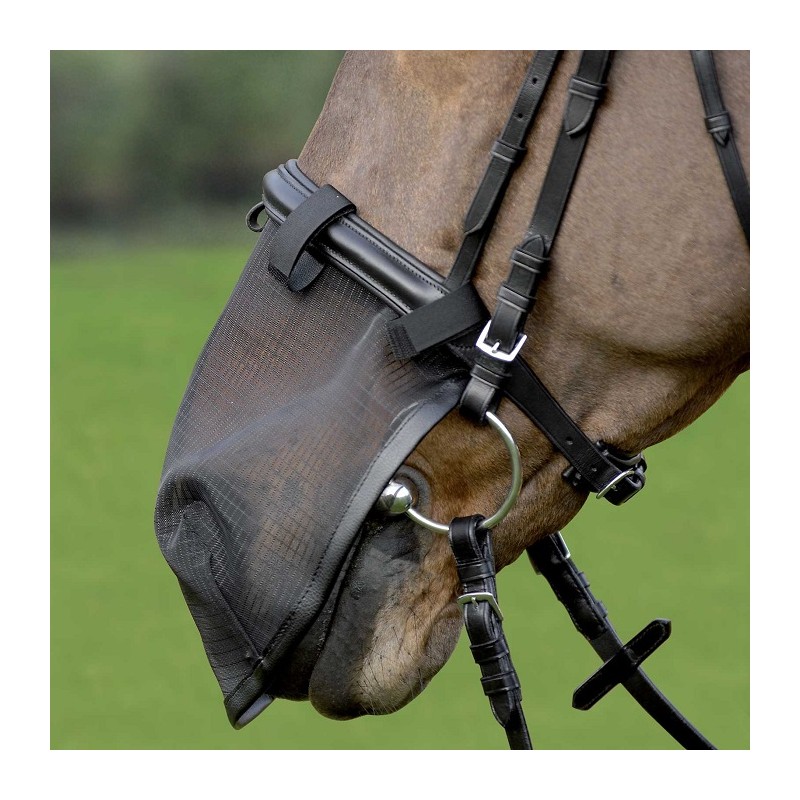 Protège mouche pour naseau