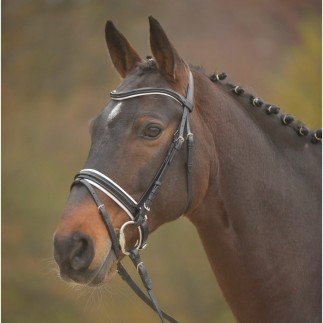 Wembley: S Line Bridon Kingswood – Cob