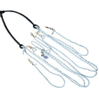 Enrènement Pessoa longe – PRI – Matériel de longe – Équitation