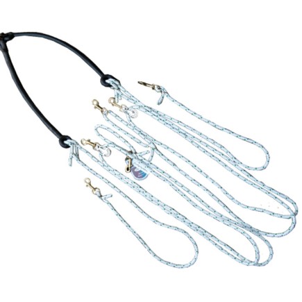 Enrènement Pessoa longe – PRI – Matériel de longe – Équitation