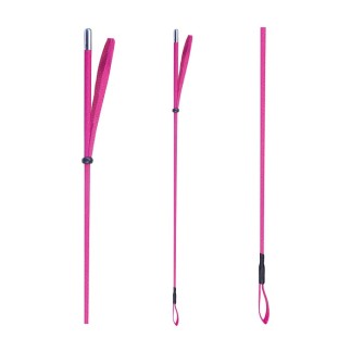 Cravache: couleur à la mode – Mauve