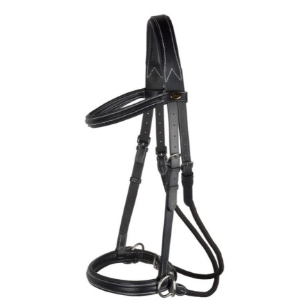 Freedom Riding Articles: Dietsij – Full