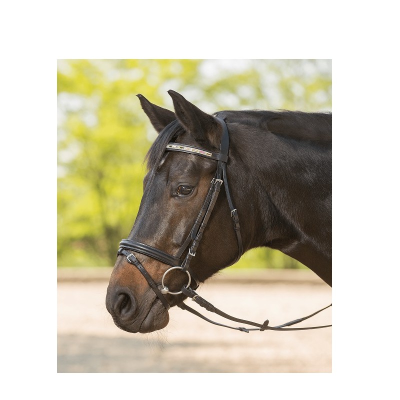 STAR Bridon Kalaido – Poney STAR Bridon Kalaido – Poney