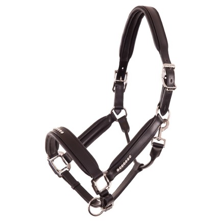 Anky: Licol Cuir/strass – Cob – Licols – Équitation