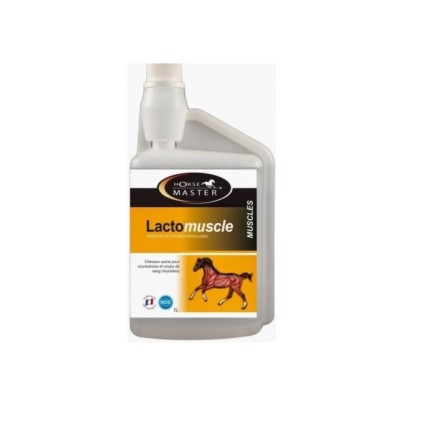 Horse Master : Lactomuscle – Performance – Équitation