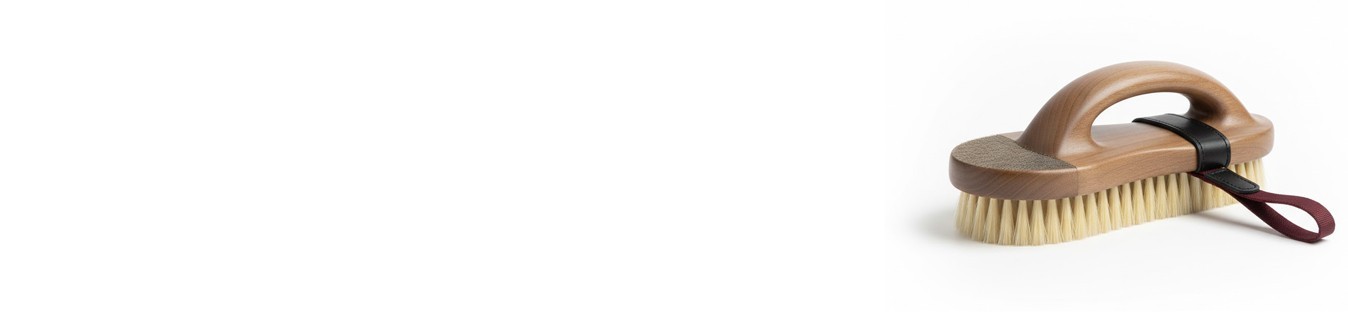 Brosses | Sellerie Alegria