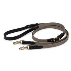 Hoofdstel en teugels