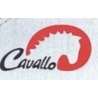 Cavallo botte